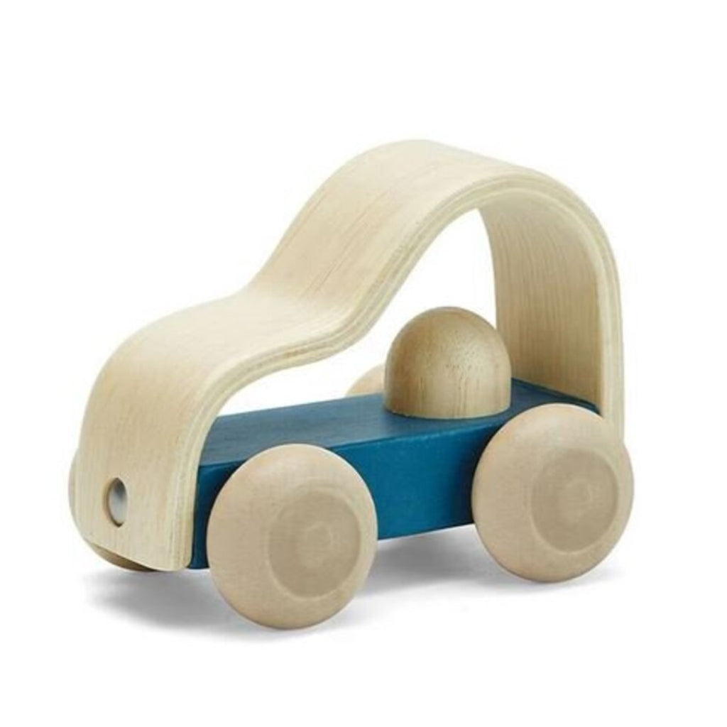 Plan Toys Vroom Truck