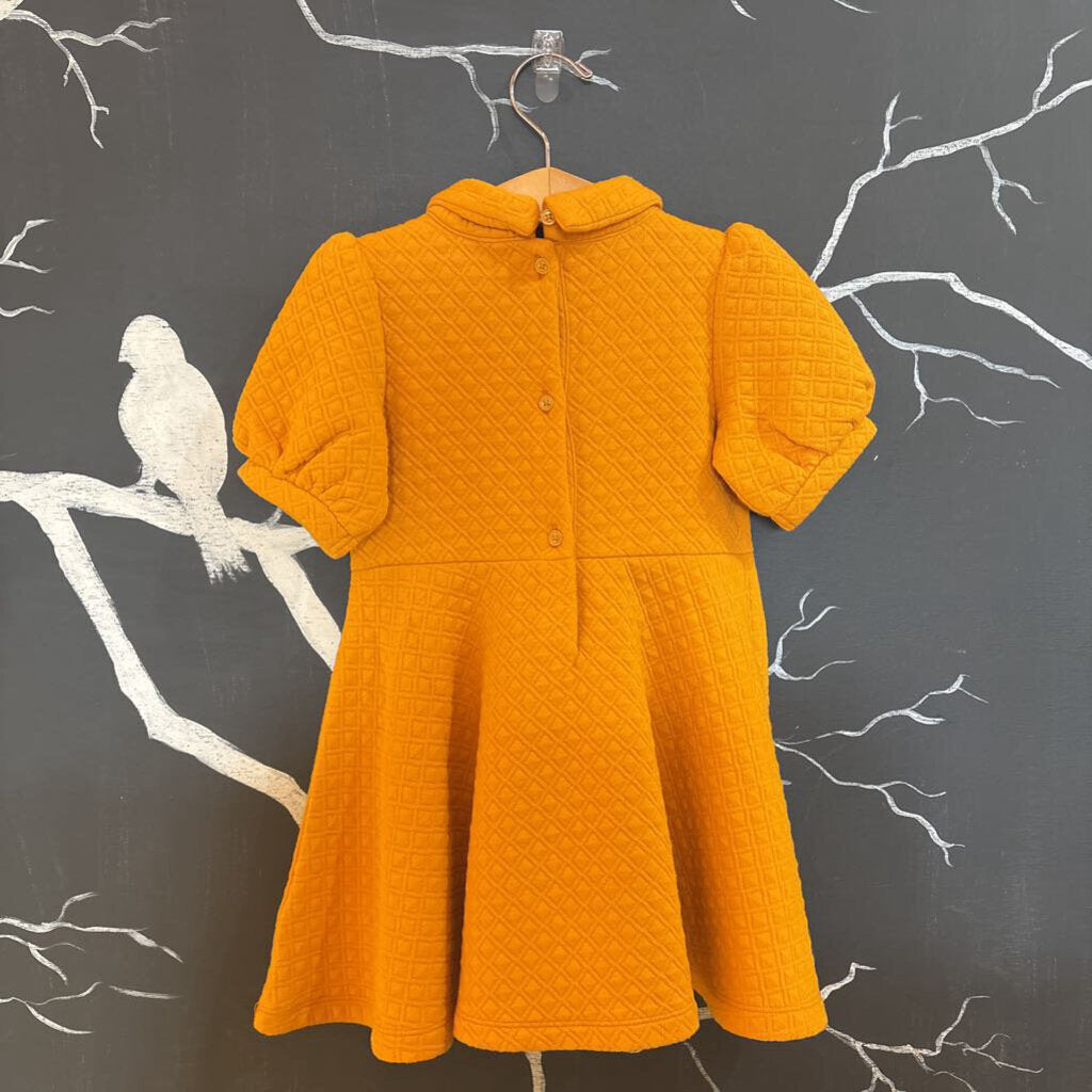 Janie and Jack Orange SS Dress 3t *NEW