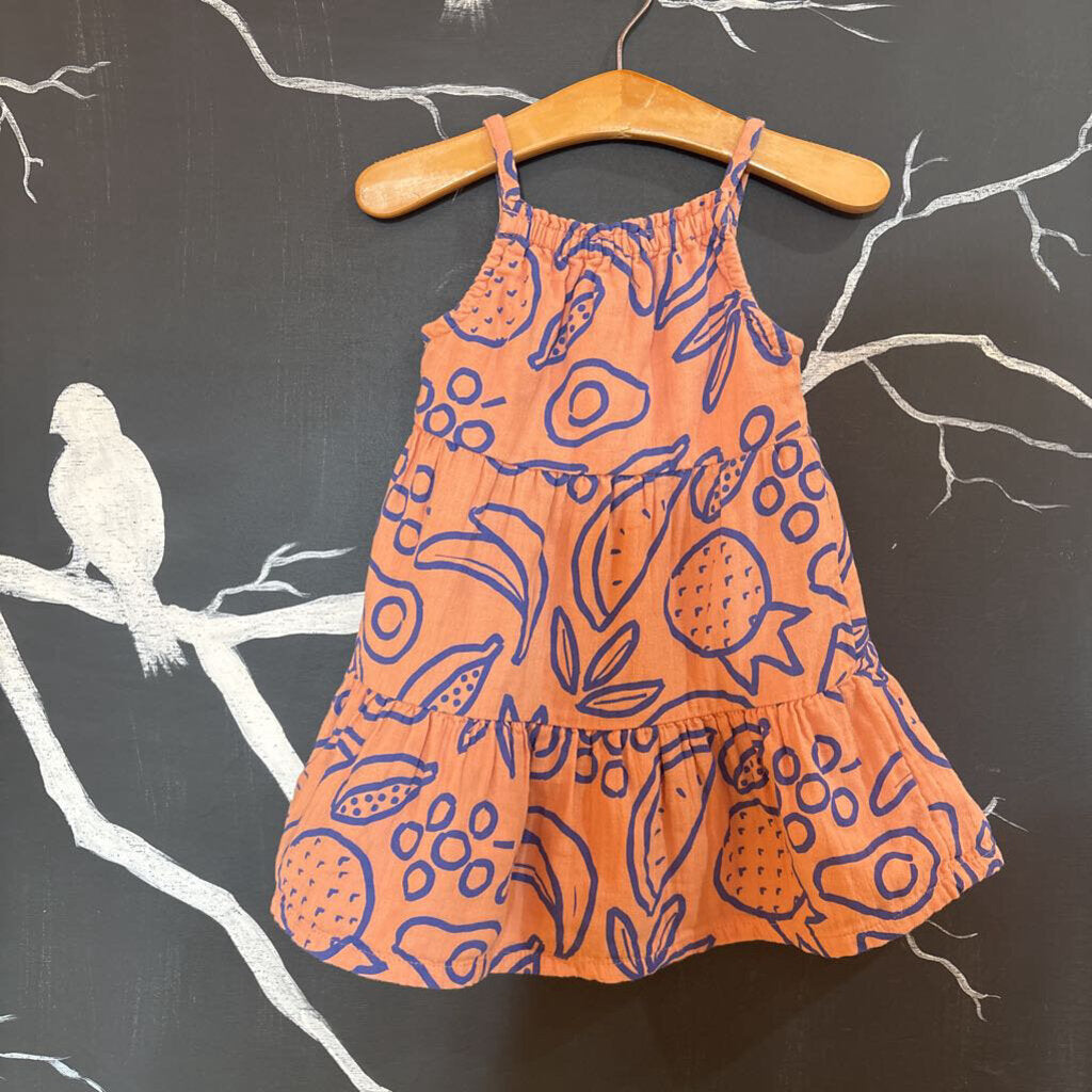 Hanna Andersson Orange Purple Stencil Fruit Tank Dress 2t
