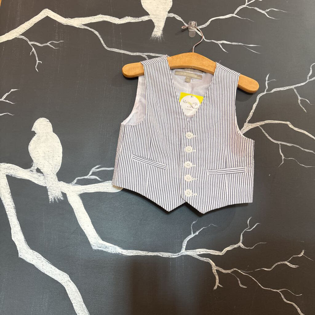 Nordstrom Bluegrey Stripe Vest 4